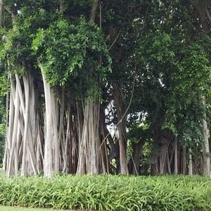 Meet your Posher, Michele